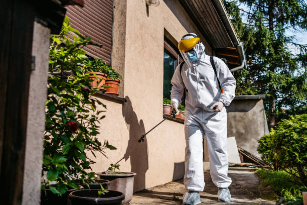 Flea Control Services in Nooksack, WA