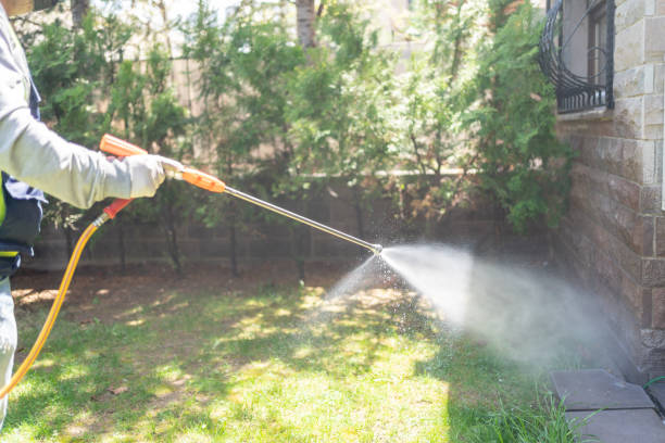 Best Bird Control  in Nooksack, WA