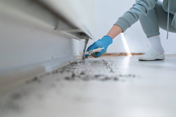 Best Pest Inspection Near Me  in Nooksack, WA